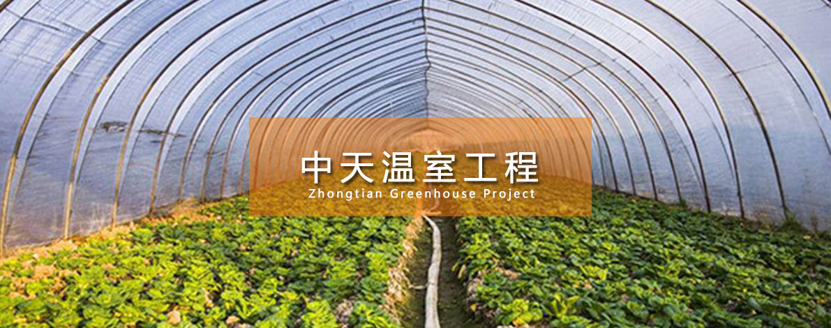 青州中天溫室工程有限公司