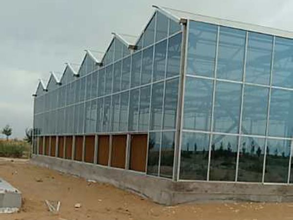 玻璃溫室