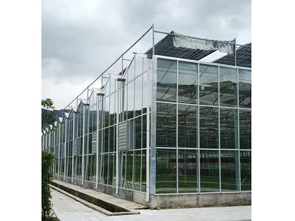 玻璃溫室